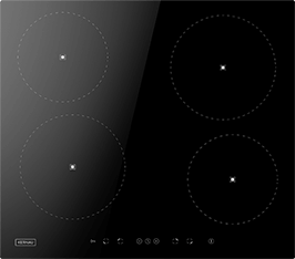 Induktionsfeld Reparatur Rodgau